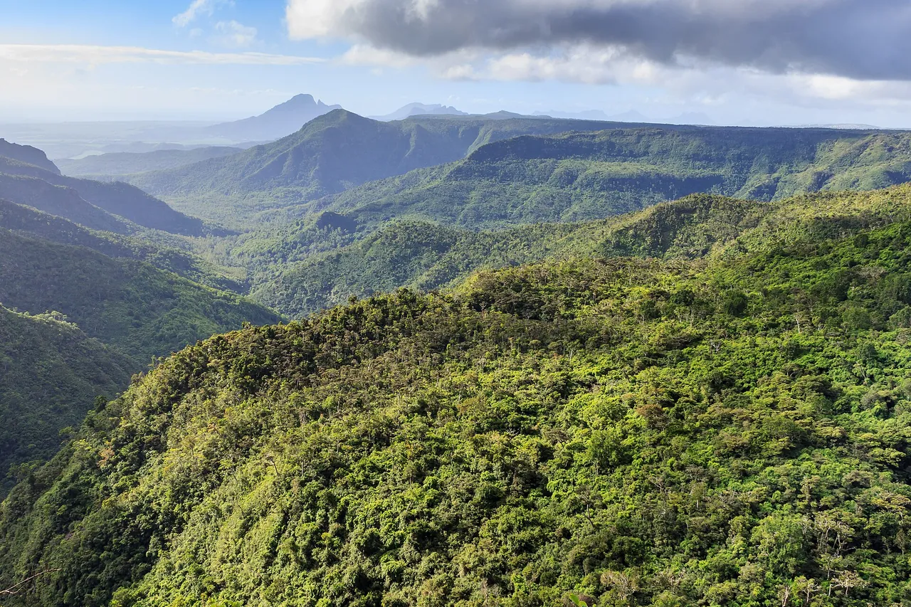 Vue panoramique sur les montagnes boisées du parc national des Gorges de la Rivière Noire à l'Île Maurice